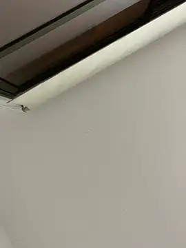 tu-bebitaa online show from 03.12.25