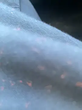 daniel21p online show from 02.22.25