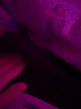 mario 6 9 9 0 online show from 03.07.25