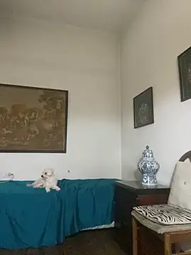 KititA12 online show from 02.22.26