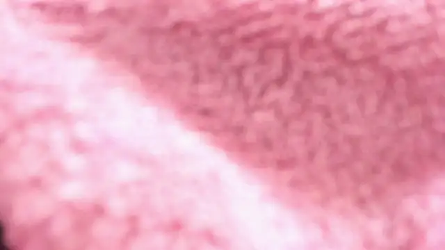 Snapshot of camila_tailors chatting on 10.14.25 camila tailors online show from 10.14.25