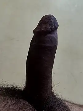 alkhabiir online show from 01.08.26