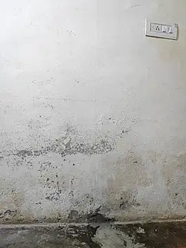 Snapshot of pallu_telgu_kannada chatting on 03.04.26 pallu telgu kannada online show from 03.04.26