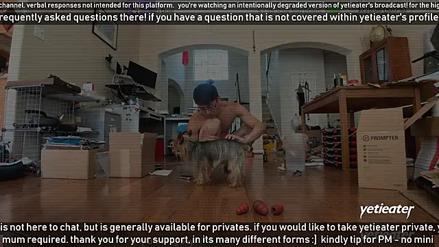 Snapshot of yetieater chatting on 03.16.25 yetieater online show from 03.16.25