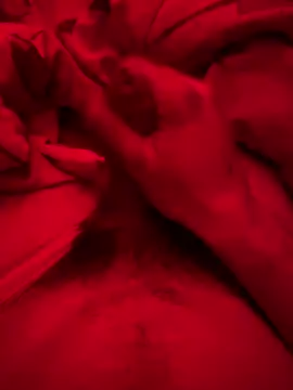 ruchacz24 online show from 03.06.25