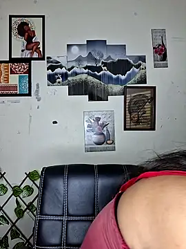 Noor-Bold online show from 02.07.26