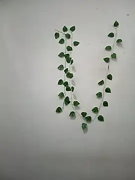 Neha-Bhabhi-Rasily online show from 03.08.26