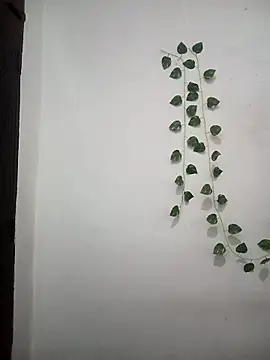 Neha-Bhabhi-Rasily online show from 03.25.26