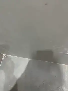 Randomrahulpillu online show from 03.03.25