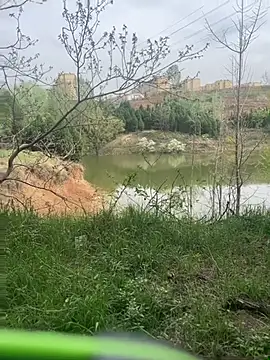 shaovu online show from 04.06.26