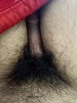 Jaipuri Boy online show from 03.08.25