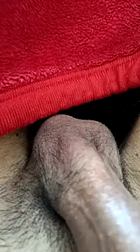 Jaipuri Boy online show from 03.21.25