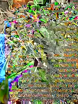 himvilohi08 online show from 09.27.25