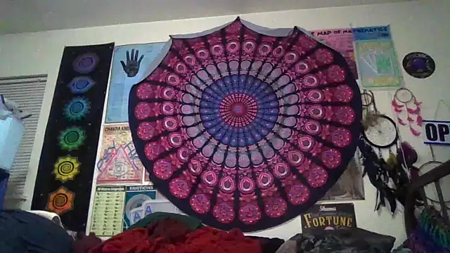 GardeniaFields online show from 03.20.26