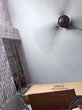 goluaryan online show from 03.06.26