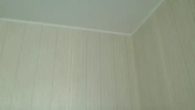  Black-Panther  online show from 04.25.26