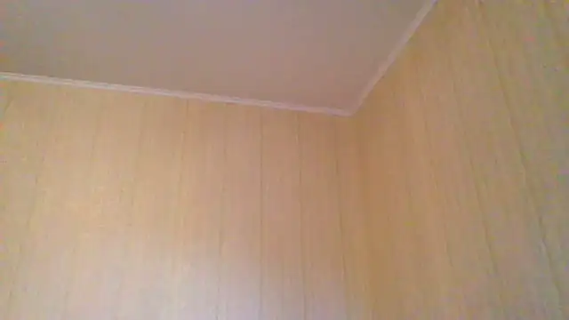 Snapshot of _Black-Panther_ chatting on 06.11.26 Black-Panther online show from 06.11.26