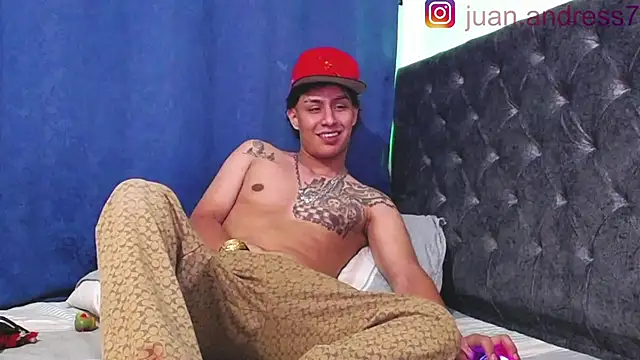 Stone grey1  online show from 02.20.26