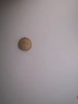 yourflowerpink online show from 11.29.25