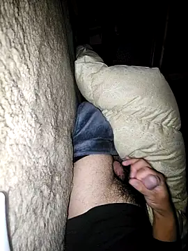 Snapshot of ikeike-kun chatting on 11.24.25 ikeike-kun online show from 11.24.25