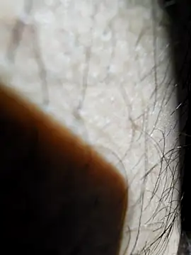 Snapshot of ikeike-kun chatting on 11.26.25 ikeike-kun online show from 11.26.25