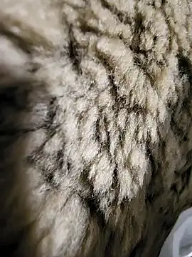 Snapshot of ikeike-kun chatting on 12.02.25 ikeike-kun online show from 12.02.25