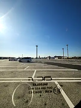 ikeike-kun online show from 02.02.26