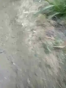 Snapshot of Sonia_Mehra6 chatting on 03.22.25 Sonia Mehra6 online show from 03.22.25