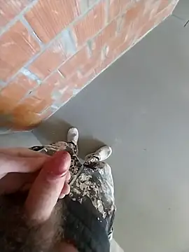 MaksDzubaV online show from 03.07.26