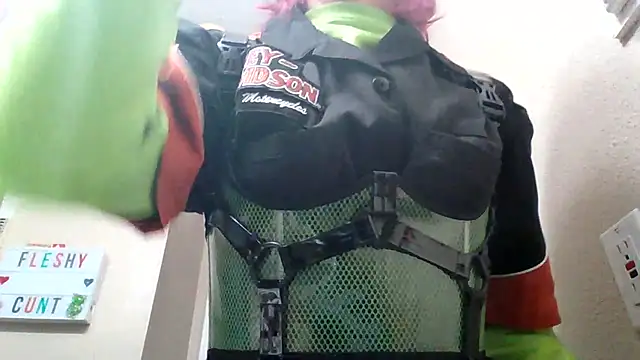 Harley cams online show from 03.16.25