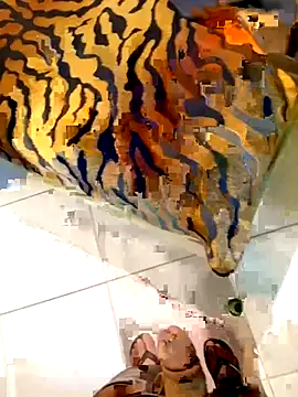 Dglo0000 online show from 02.28.26