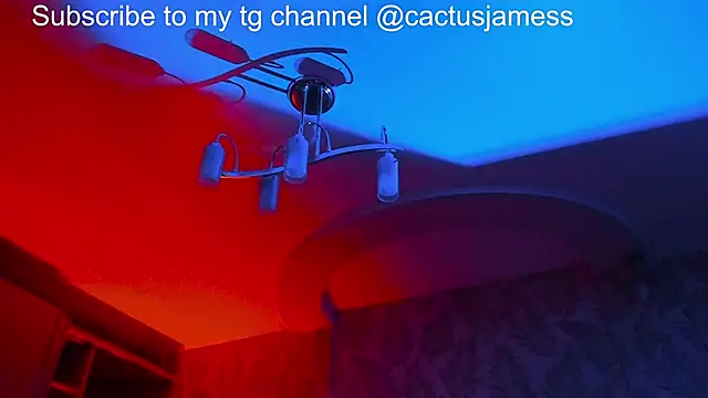 Cactus  James online show from 11.21.25