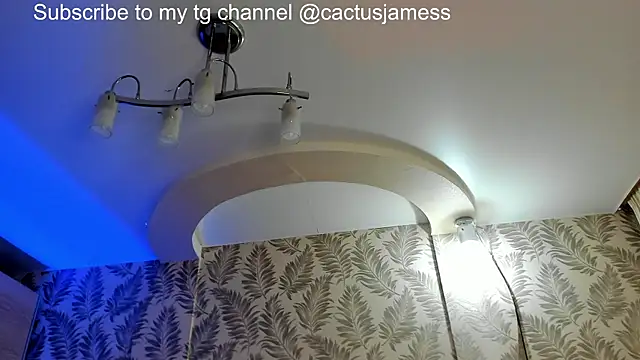Snapshot of Cactus__James chatting on 06.28.26 Cactus James online show from 06.28.26