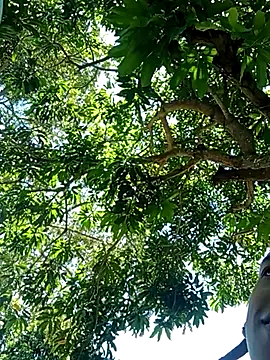 perversumm online show from 09.21.25