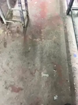 giyasbvnghkgkfk online show from 04.17.26