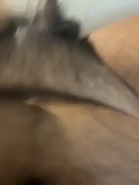 shady s online show from 03.07.26