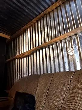 Thenaughtyboy360 online show from 12.21.25