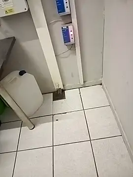 paptsimo online show from 11.25.25