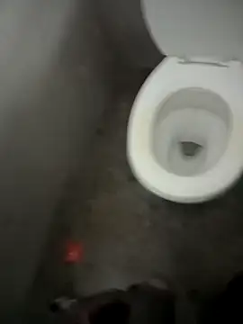 paptsimo online show from 12.13.25