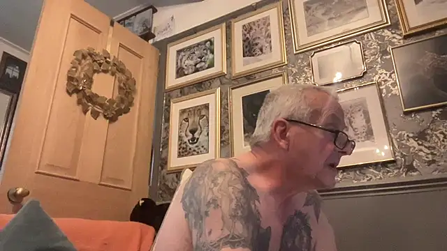 poggles online show from 11.29.25