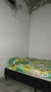 David tatto1 online show from 04.16.26