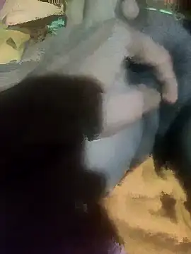 sshrichandra online show from 11.13.25