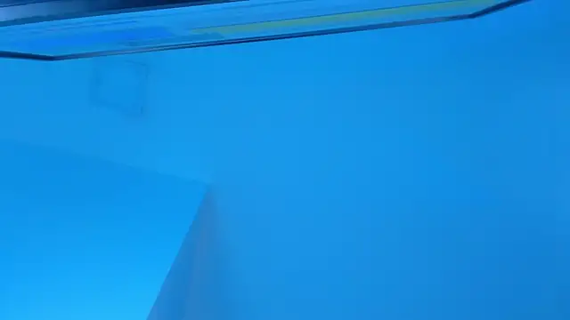 Sebax Young online show from 11.29.25