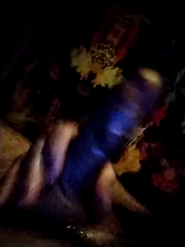 salimbasha online show from 01.11.26