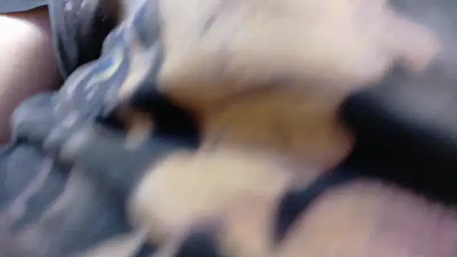 Witch Scarlet online show from 03.25.26