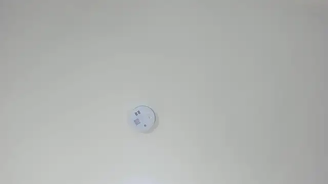 Snapshot of pamemiller1 chatting on 10.23.25 pamemiller1 online show from 10.23.25