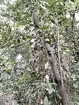 KalendaXL online show from 04.05.26