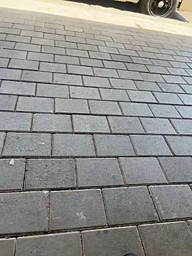 kamo012000 online show from 02.11.26