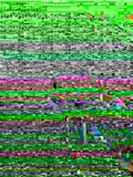 Snapshot of kamo012000 chatting on 06.19.26 kamo012000 online show from 06.19.26