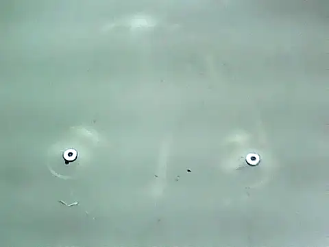 20cmloiro online show from 01.15.26